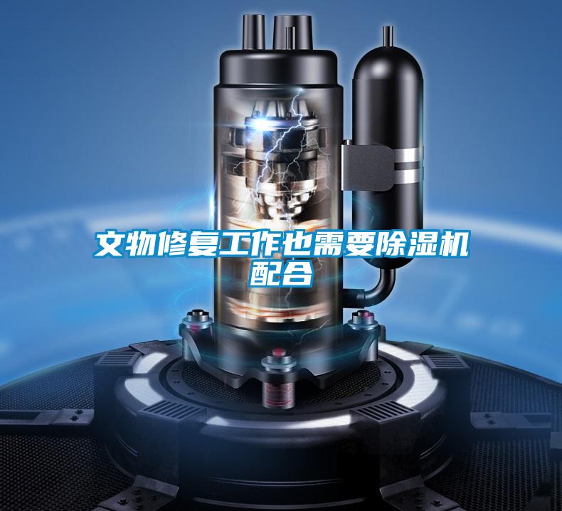 文物修复工作也需要麻豆视频黄网站配合