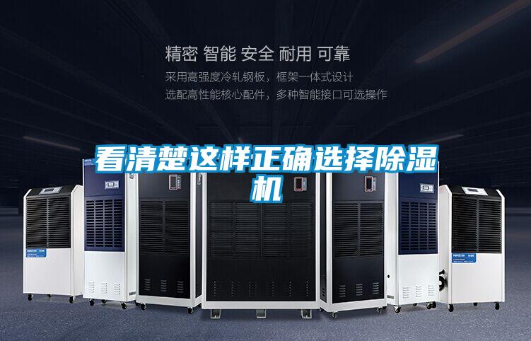 看清楚这样正确选择麻豆视频黄网站