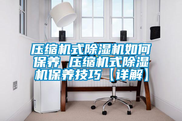 压缩机式麻豆视频黄网站如何保养 压缩机式麻豆视频黄网站保养技巧【详解】