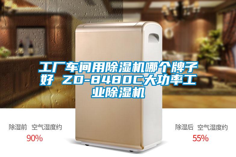 工厂车间用麻豆视频黄网站哪个牌子好 ZD-8480C大功率工业麻豆视频黄网站